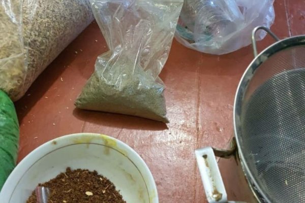 Сайт кракен рабочая ссылка