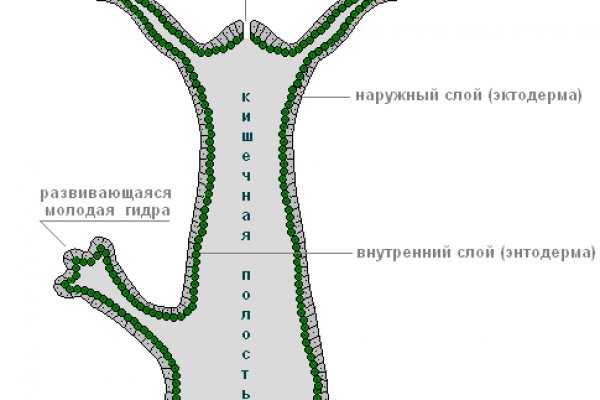 Доступ кракен