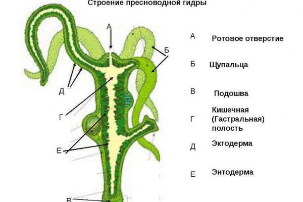Tor kraken маркет