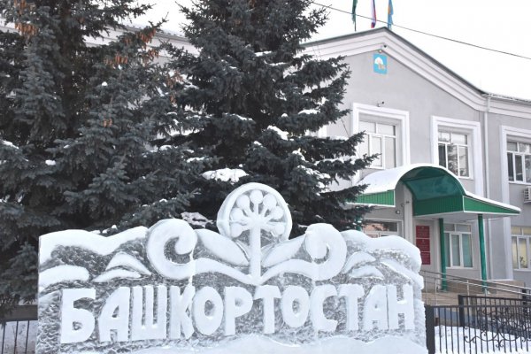 Как восстановить страницу на кракене