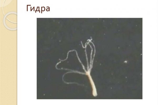 Кракен без тор