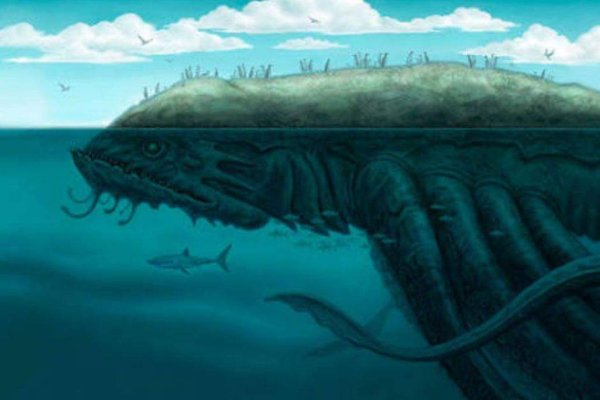 Kraken18 at