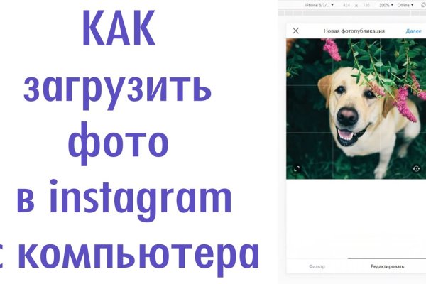 Вместо гидры