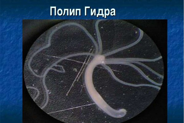 Не могу зайти на сайт кракен