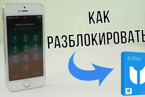 Kraken kraken link24 info