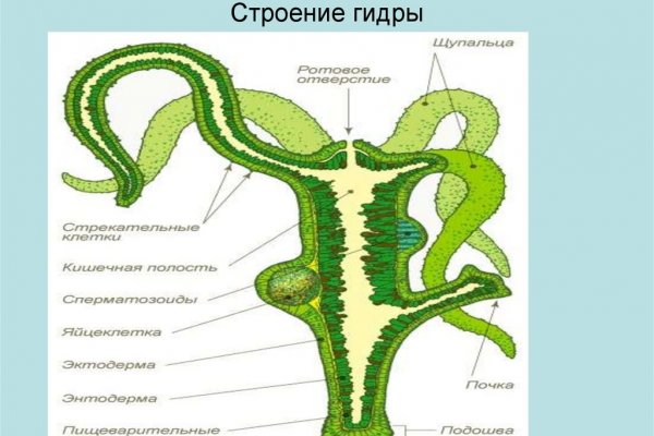 Ссылки кракен телеграф